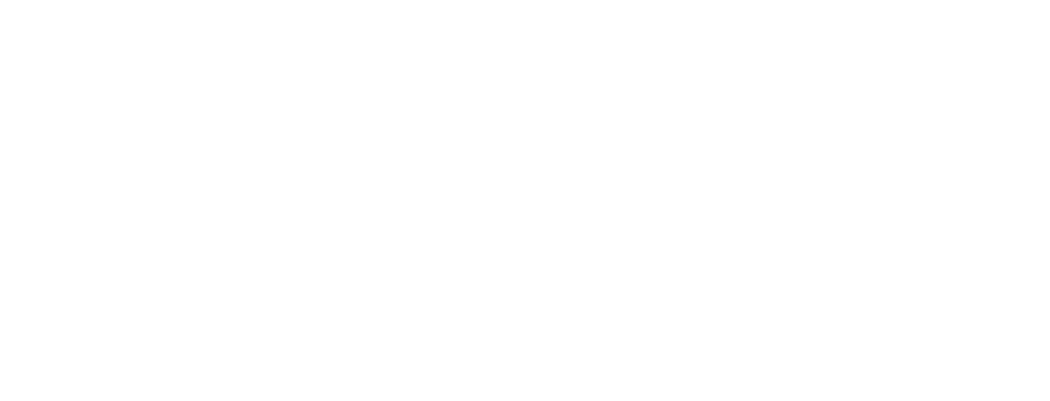 Brinks Authorized Dealer