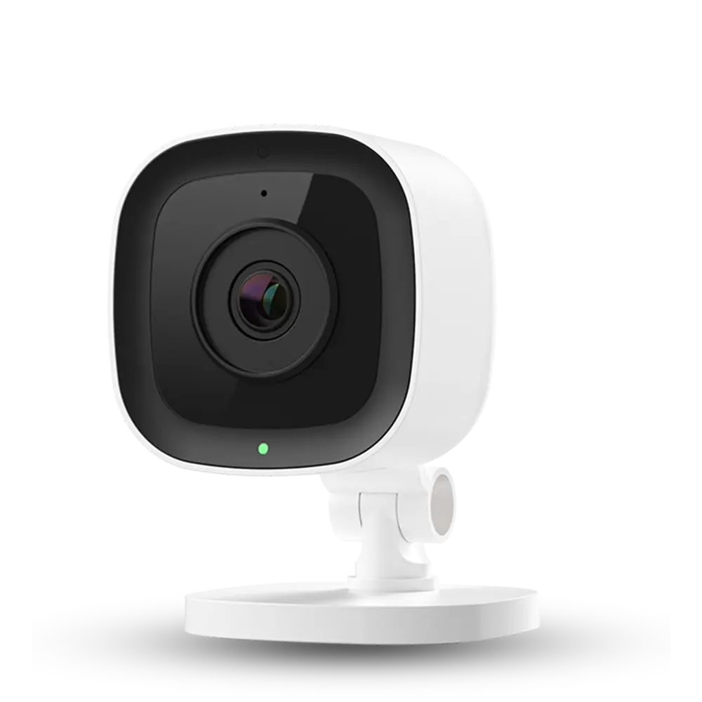 Indoor Security Cameras